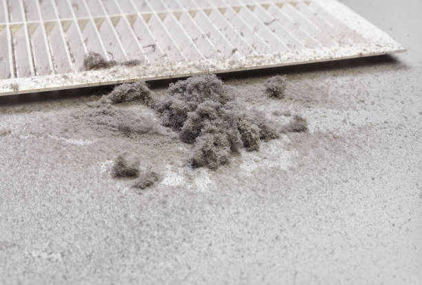 Best Professional Duct Cleaning Services  in Poulsbo, WA