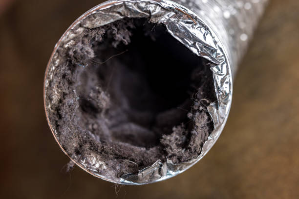 Best Best Air Duct Cleaning Company  in Poulsbo, WA